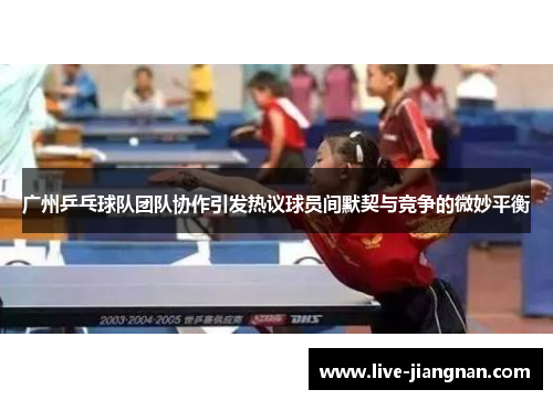 广州乒乓球队团队协作引发热议球员间默契与竞争的微妙平衡