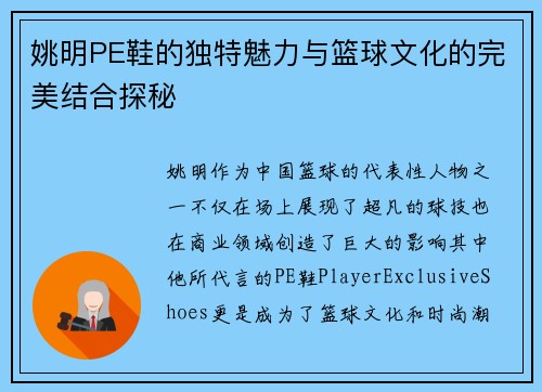 姚明PE鞋的独特魅力与篮球文化的完美结合探秘