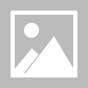 江南体育官网-沉默24小时后，卡尼终于发声，否认与中国签协议，美财长得寸进尺